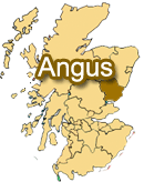 Live Band in Angus